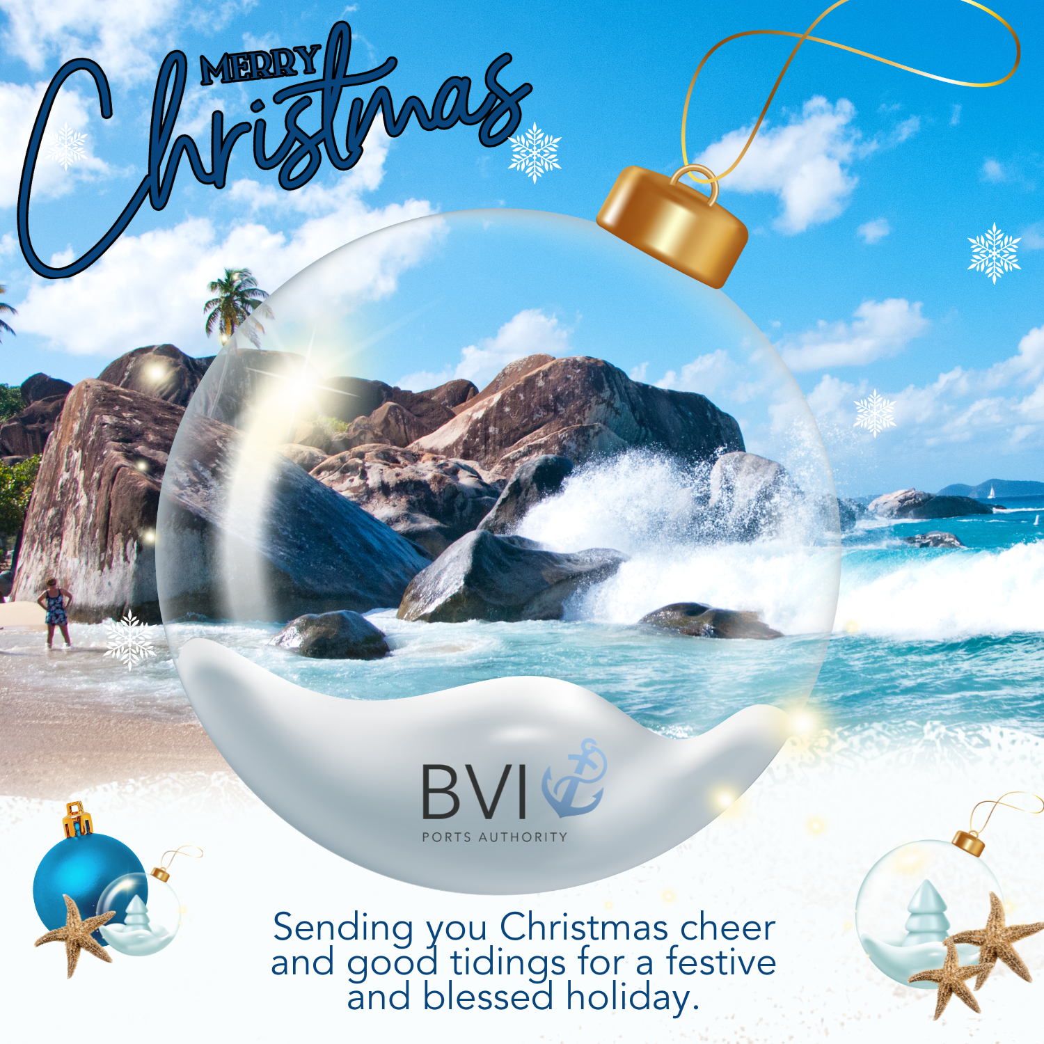 BVIPA Christmas