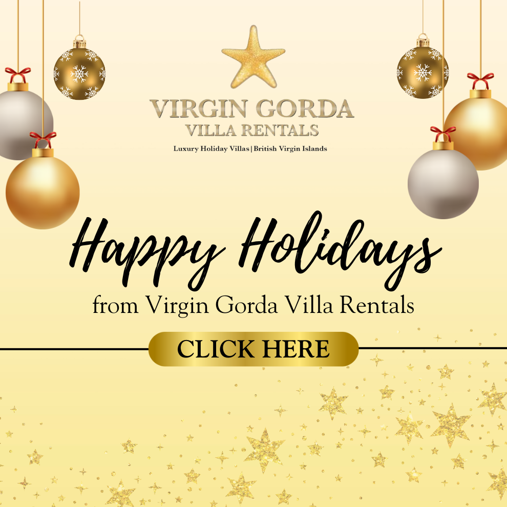 VGVR Christmas Card