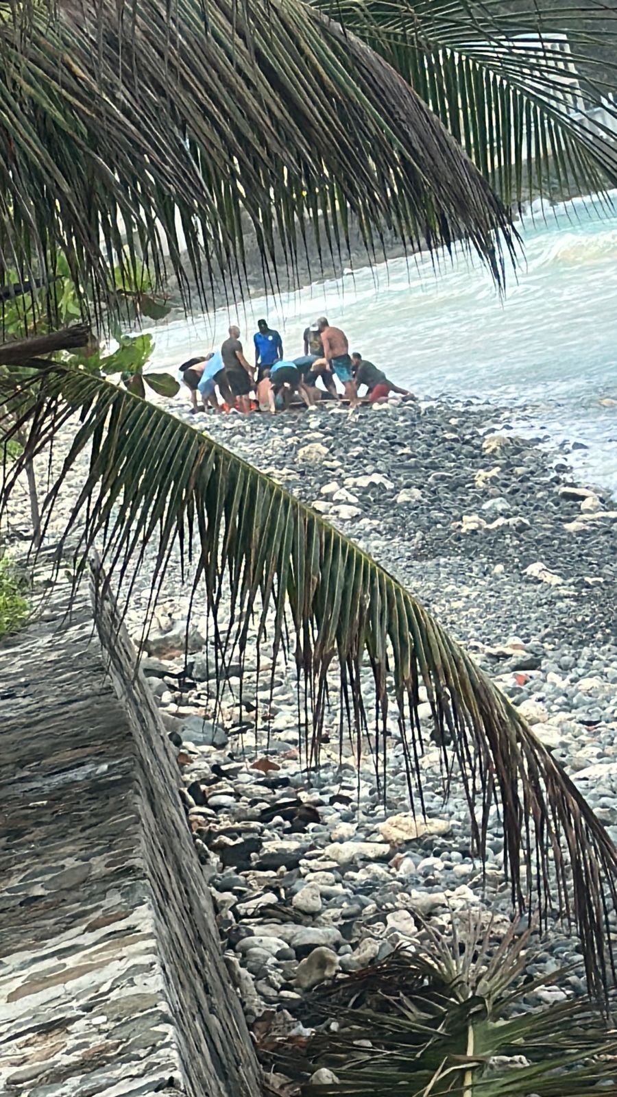 Male Tourist Dies While Surfing At Apple Bay