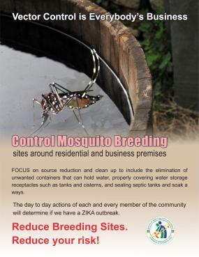 Reduce Mosquito Breeding After Heavy Rainfall